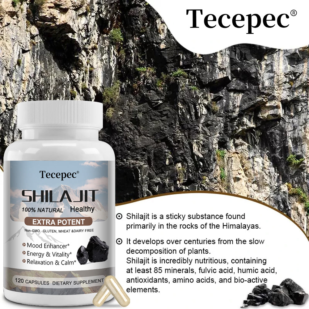 Tecepec® Extra Potent Himalayan Shilajit Complex | 100% Natural Dietary Supplement for Energy, Stamina & Immune Support