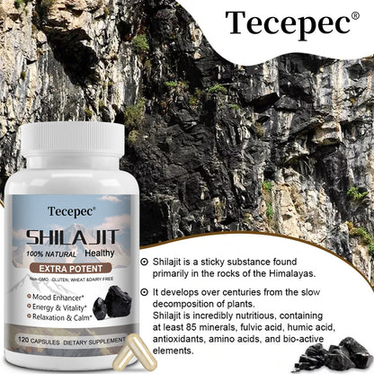 Tecepec® Extra Potent Himalayan Shilajit Complex | 100% Natural Dietary Supplement for Energy, Stamina & Immune Support