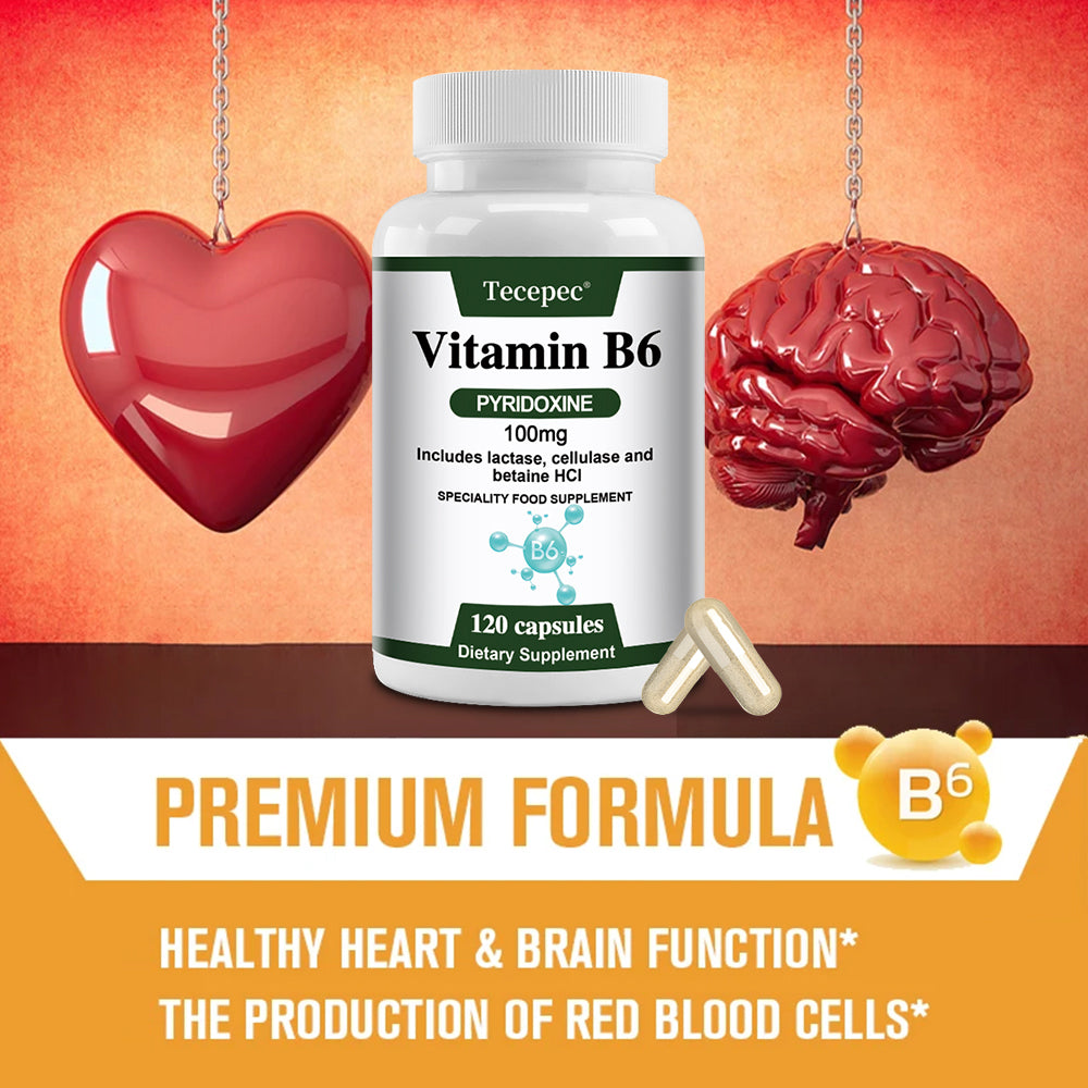 Tecepec® Advanced Vitamin B6 Pyridoxine Complex with Lactase, Cellulase & Betaine HCl | Energy Metabolism, Nervous System & Immune Support