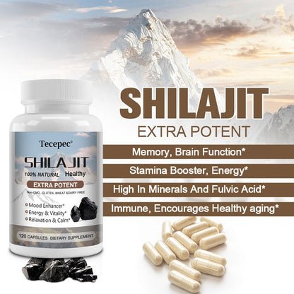 Tecepec® Extra Potent Himalayan Shilajit Complex | 100% Natural Dietary Supplement for Energy, Stamina & Immune Support