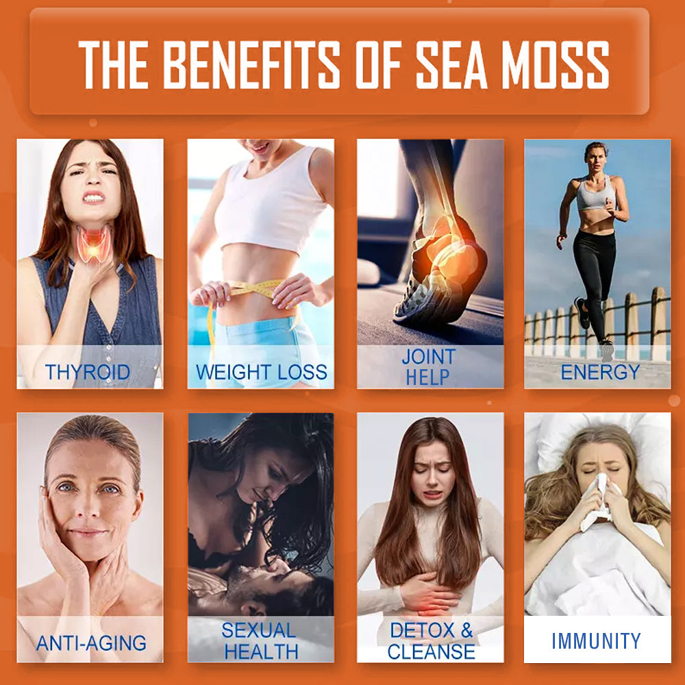 Tecepec® Advanced Sea Moss Capsules | Organic Bladderwrack & Burdock Root Blend for Thyroid Health, Immune Support & Natural Energy