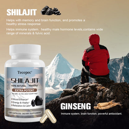 Tecepec® Extra Potent Himalayan Shilajit Complex | 100% Natural Dietary Supplement for Energy, Stamina & Immune Support