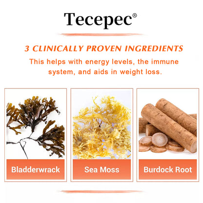 Tecepec® Advanced Sea Moss Capsules | Organic Bladderwrack & Burdock Root Blend for Thyroid Health, Immune Support & Natural Energy