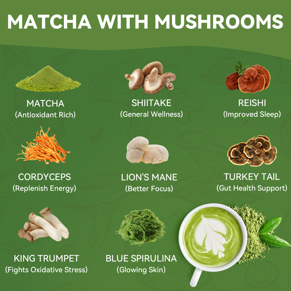 Tecepec® Mushroom Matcha Powder – Organic Matcha Green Tea with 6 Adaptogenic Mushrooms for Sustained Energy, Focus & Immunity