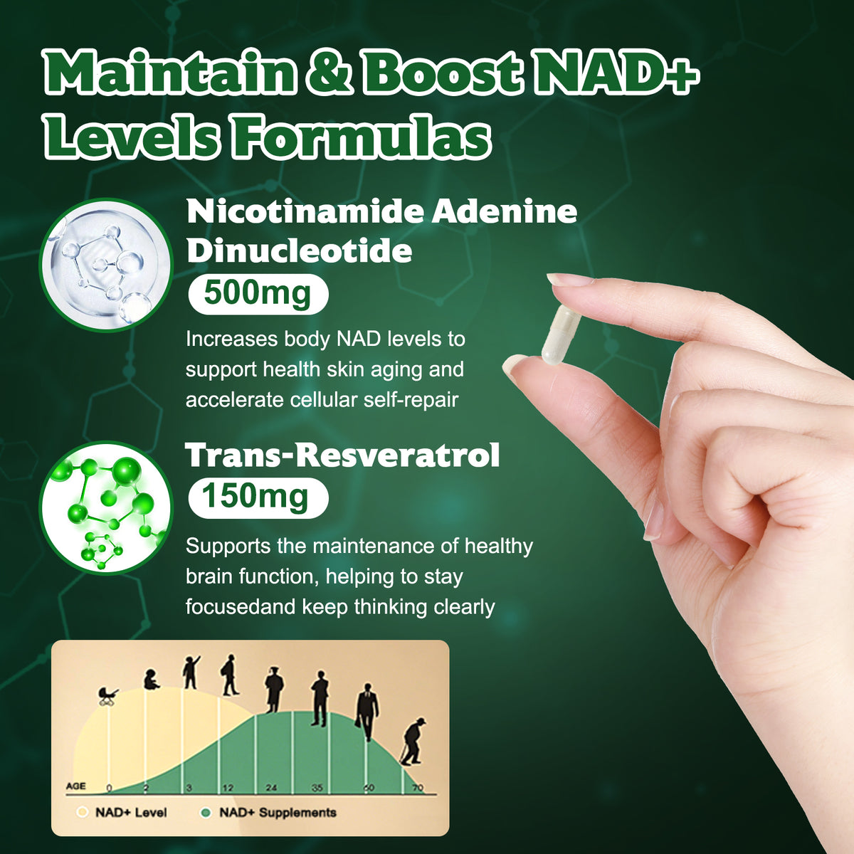 Tecepec® NAD+ 500mg with Resveratrol – Premium Anti-Aging Supplement for Cellular Energy, Focus & Longevity Support