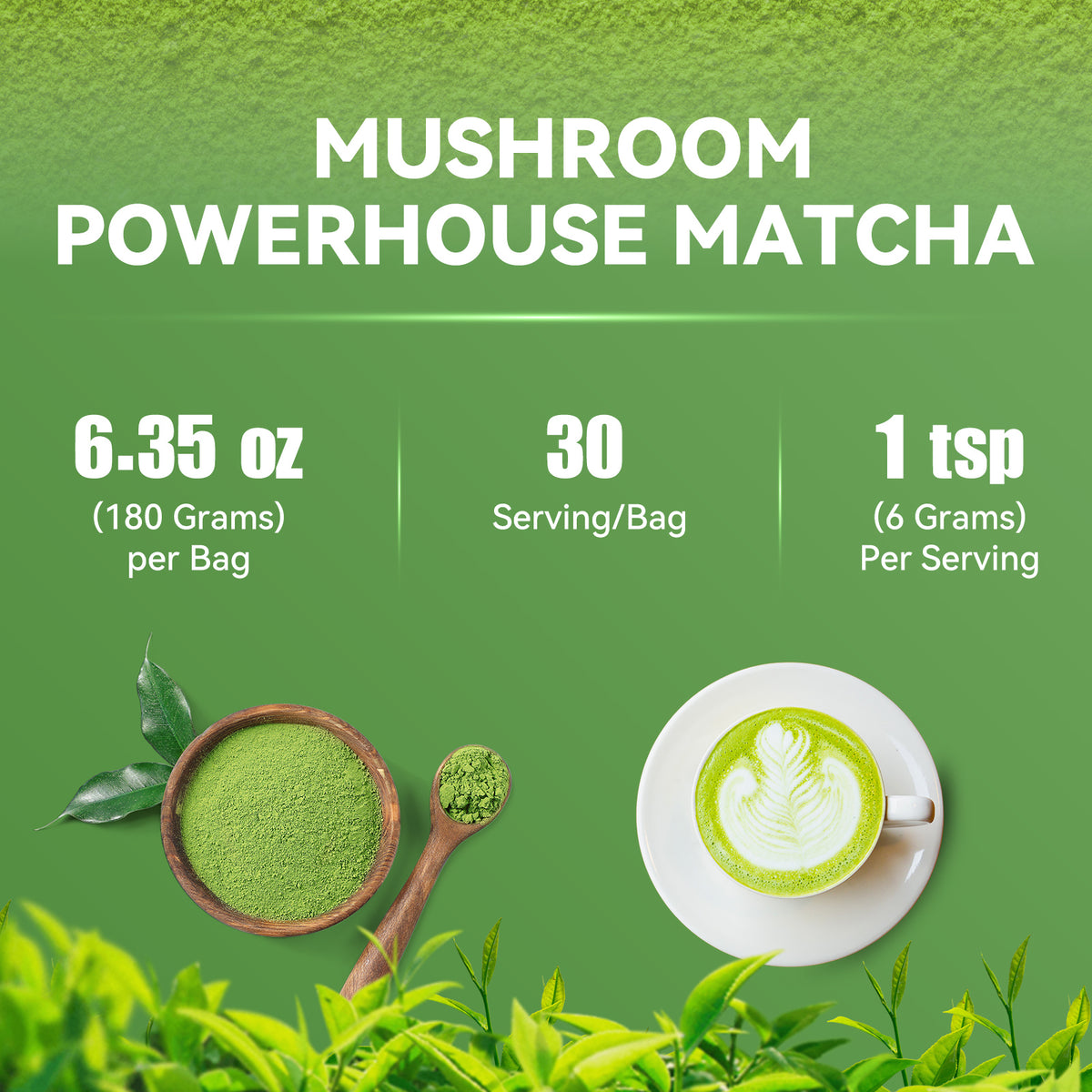 Tecepec® Mushroom Matcha Powder – Organic Matcha Green Tea with 6 Adaptogenic Mushrooms for Sustained Energy, Focus & Immunity