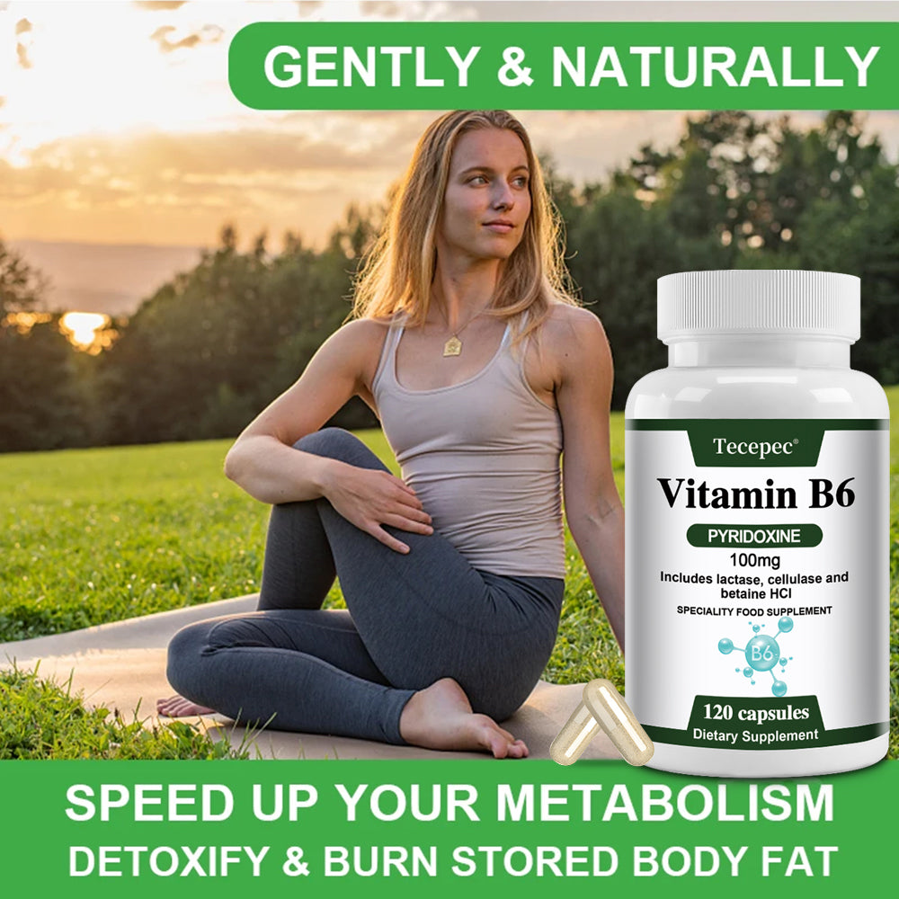 Tecepec® Advanced Vitamin B6 Pyridoxine Complex with Lactase, Cellulase & Betaine HCl | Energy Metabolism, Nervous System & Immune Support