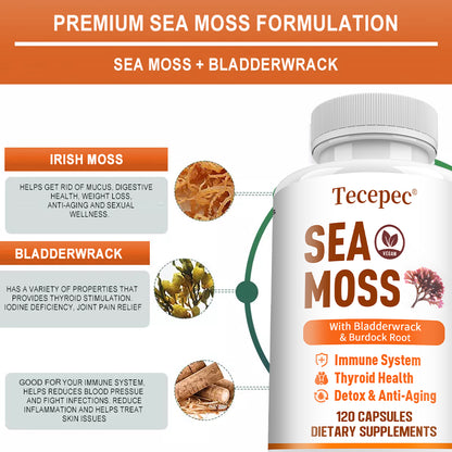 Tecepec® Advanced Sea Moss Capsules | Organic Bladderwrack & Burdock Root Blend for Thyroid Health, Immune Support & Natural Energy