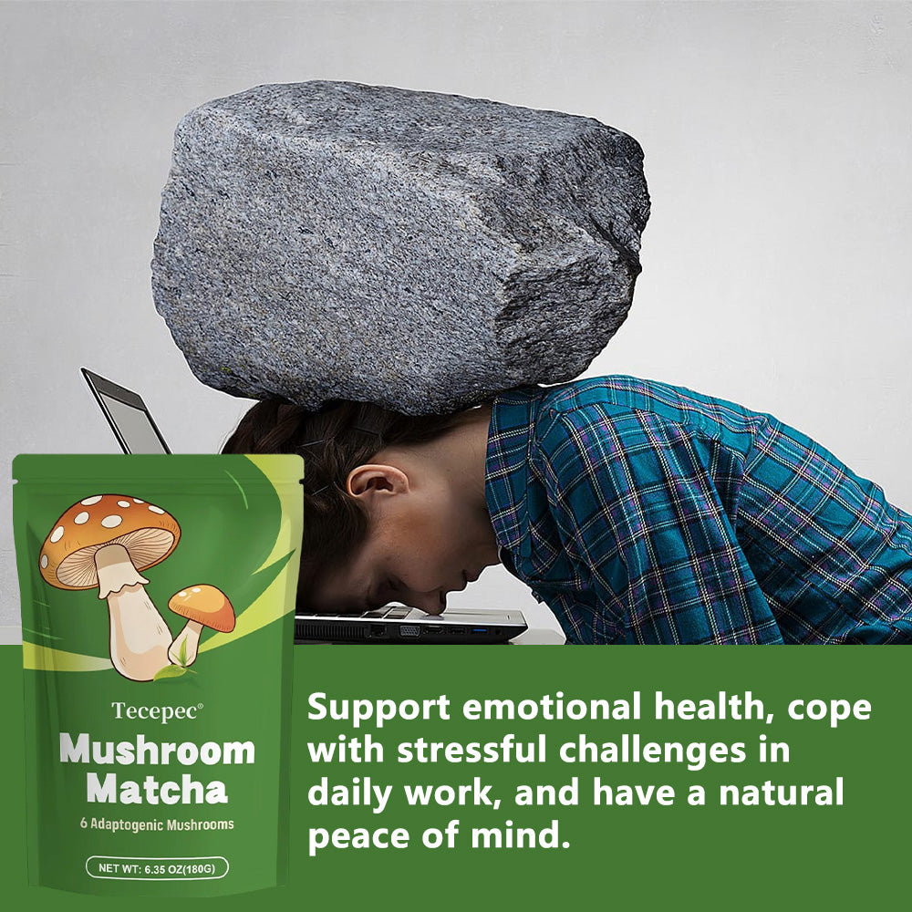 Tecepec® Mushroom Matcha Powder – Organic Matcha Green Tea with 6 Adaptogenic Mushrooms for Sustained Energy, Focus & Immunity