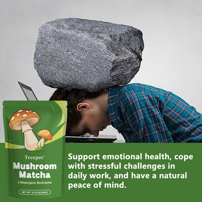 Tecepec® Mushroom Matcha Powder – Organic Matcha Green Tea with 6 Adaptogenic Mushrooms for Sustained Energy, Focus & Immunity